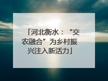河北衡水：“交农融合”为乡村振兴注入新活力